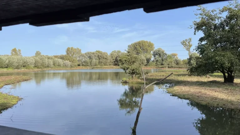 parc ornithologique des Cinq Tailles à Thumeris