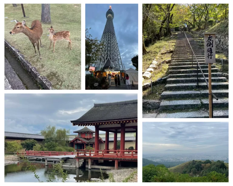 Budget des visites au Japon : daims à Nara, Tokyo Sky Tree, Temples à Otsu, Montagne à Nara
