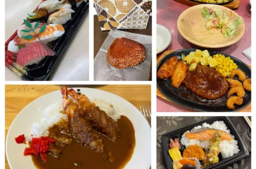 variété de plats pour manger pas cher au Japon : sushis, donut, curry, plat de restaurant familial, bento de konbini