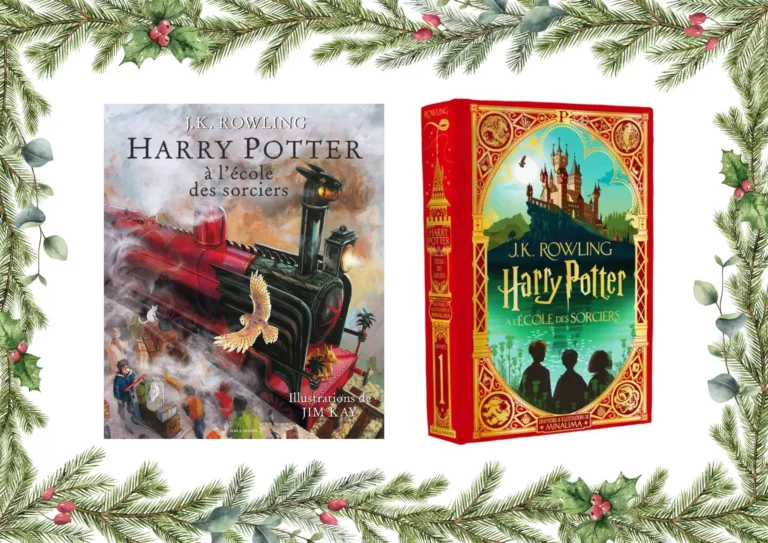 Harry Potter illustré